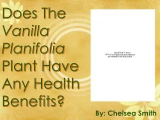 Does The Vanilla Planifolia Plant Have Any Health Benefits?