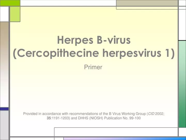 herpes b virus cercopithecine herpesvirus 1