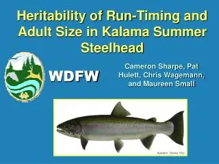 Heritability of Run-Timing and Adult Size in Kalama Summer Steelhead