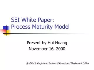 SEI White Paper: Process Maturity Model