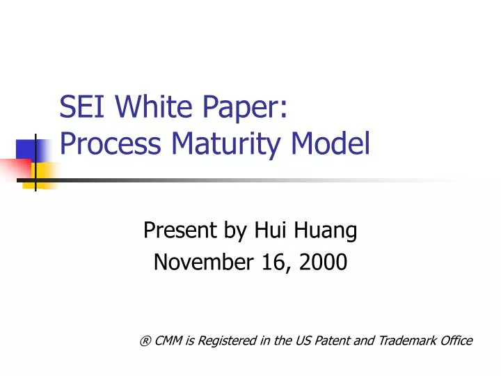 sei white paper process maturity model