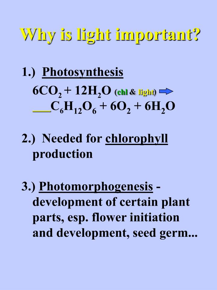 why is light important