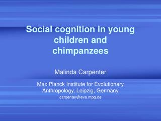 Social cognition in young children and chimpanzees