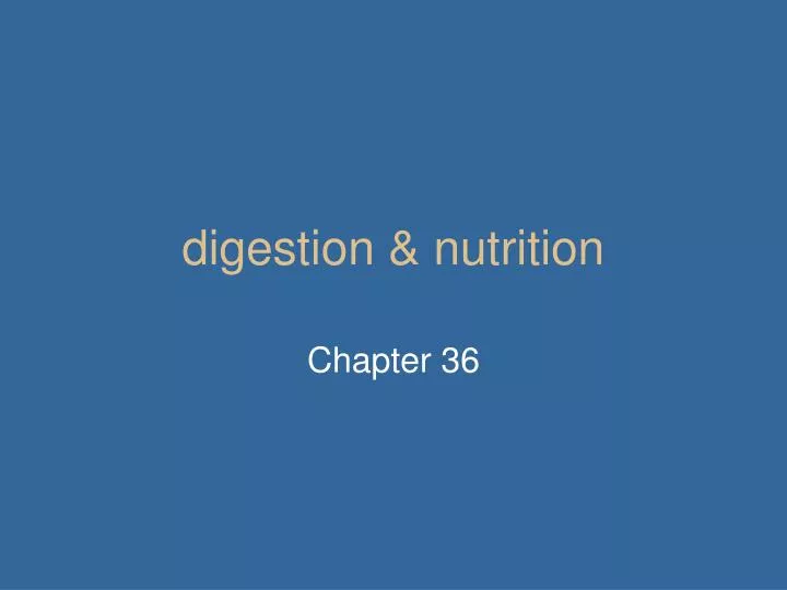 digestion nutrition