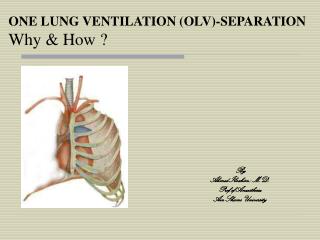ONE LUNG VENTILATION (OLV)-SEPARATION Why &amp; How ?