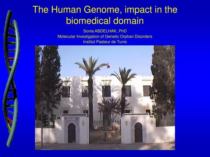 the h uman g enome impact in the biomedical domain