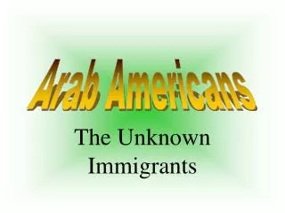 The Unknown Immigrants