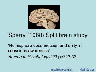 Sperry (1968) Split brain study