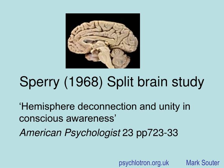 sperry 1968 split brain study