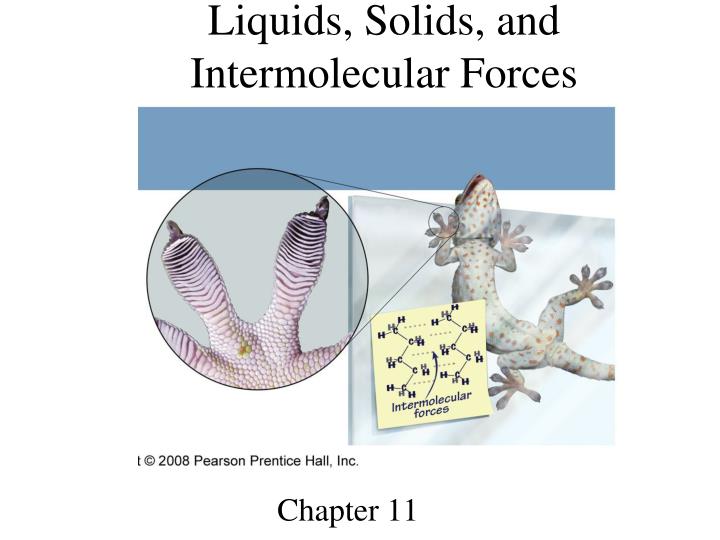 liquids solids and intermolecular forces