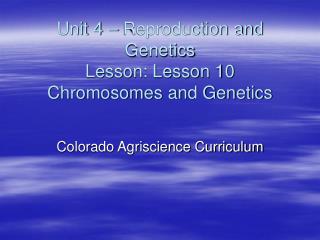 Unit 4 – Reproduction and Genetics Lesson: Lesson 10 Chromosomes and Genetics