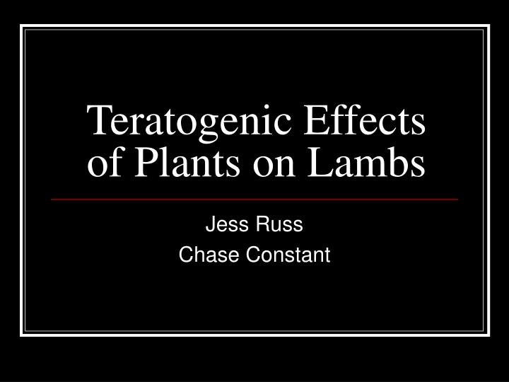 teratogenic effects of plants on lambs