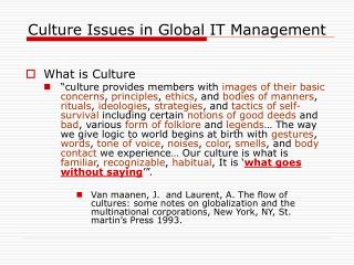 Culture Issues in Global IT Management