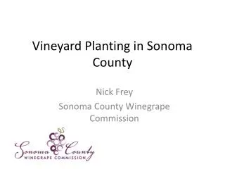 Vineyard Planting in Sonoma County