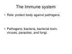The Immune system - slide 1