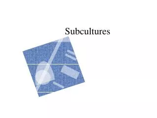 Subcultures