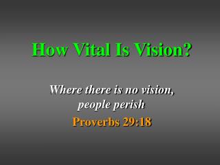 How Vital Is Vision?
