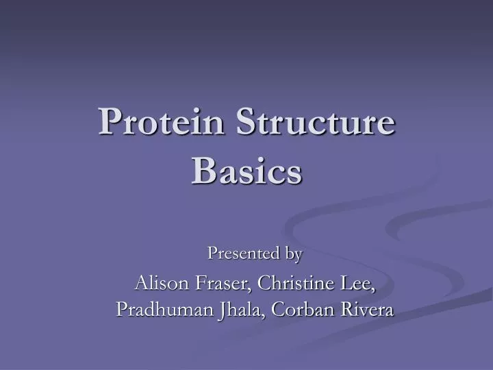 protein structure basics