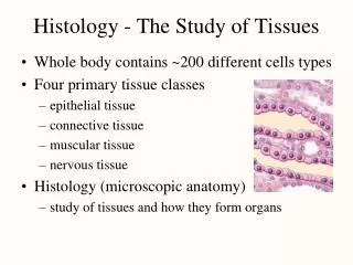 Histology - The Study of Tissues