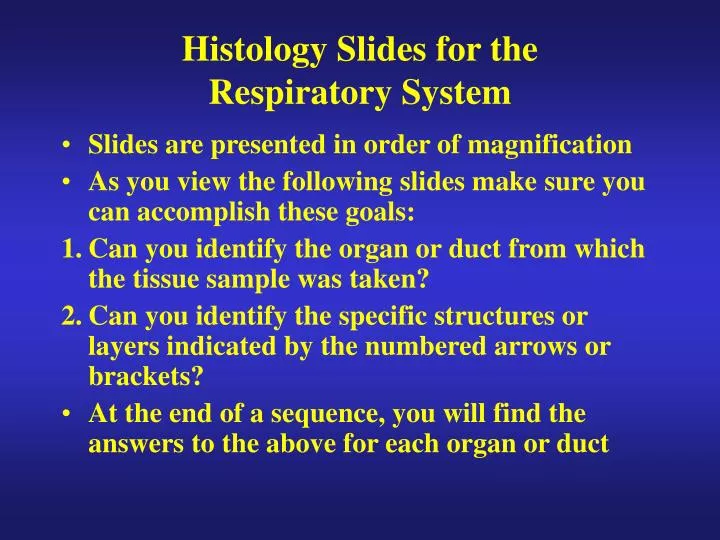 histology slides for the respiratory system