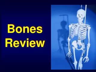 Bones Review