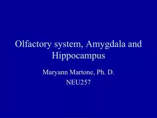 Olfactory system, Amygdala and Hippocampus