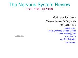 The Nervous System Review PsTL 1082-1/Fall 08
