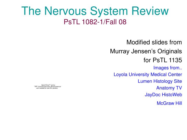 the nervous system review pstl 1082 1 fall 08