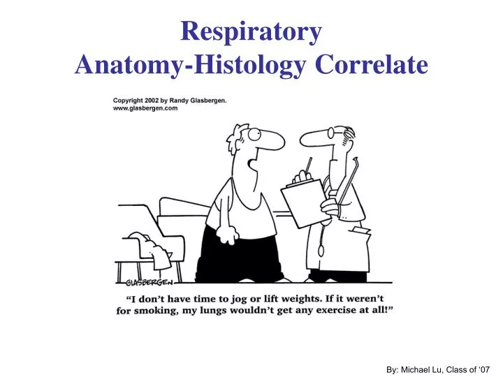respiratory anatomy histology correlate
