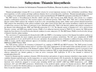 Subsystem: Thiamin biosynthesis
