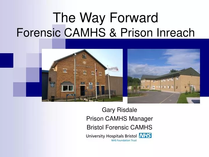 the way forward forensic camhs prison inreach