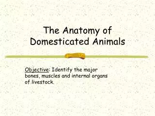 The Anatomy of Domesticated Animals