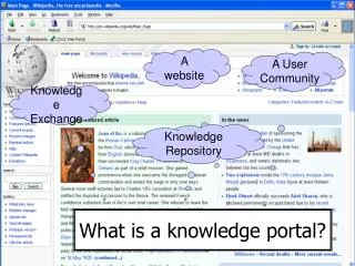 What is a knowledge portal?