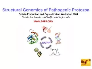 Structural Genomics of Pathogenic Protozoa