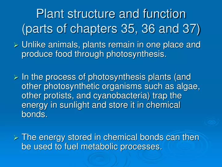 plant structure and function parts of chapters 35 36 and 37