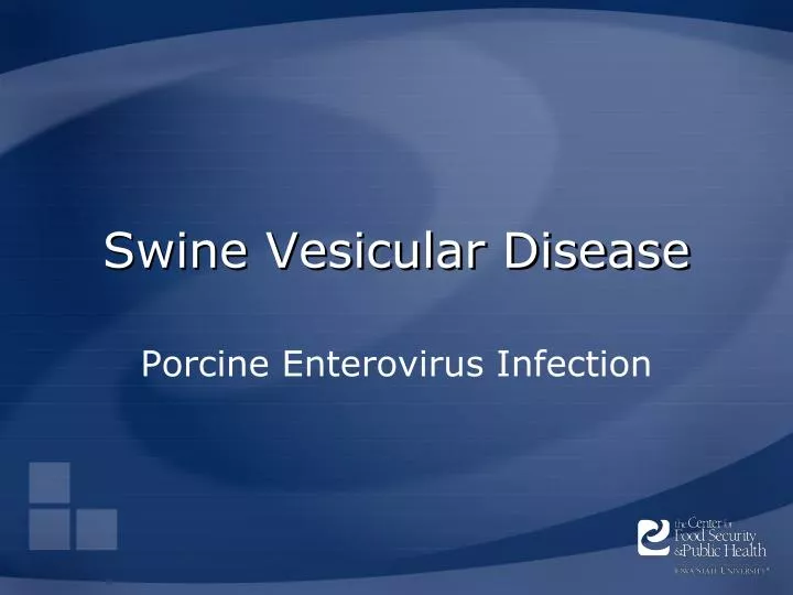 swine vesicular disease