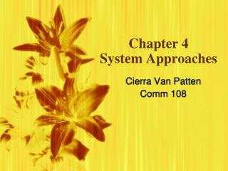 Chapter 4 System Approaches