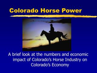 Colorado Horse Power