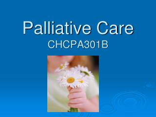 Palliative Care CHCPA301B