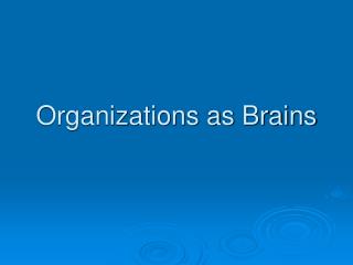 Organizations as Brains