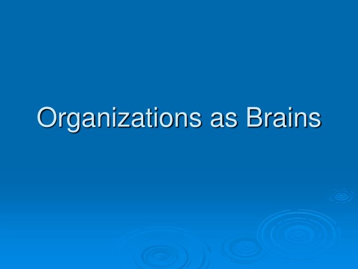 organizations as brains