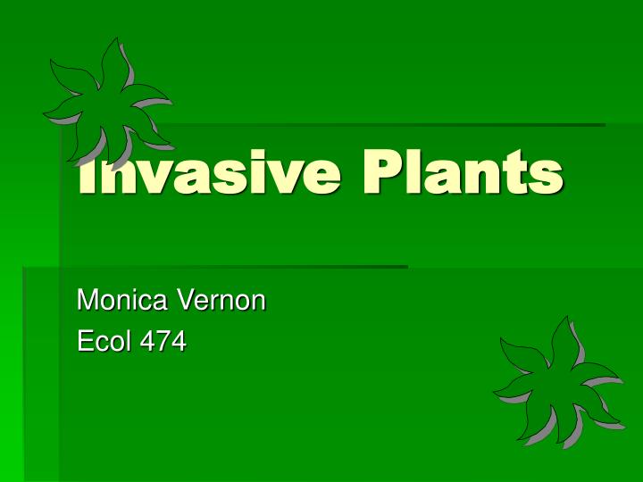 invasive plants