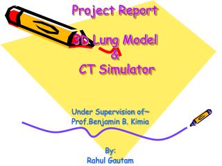 Project Report 3D Lung Model &amp; CT Simulator