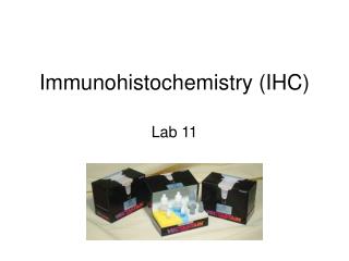 Immunohistochemistry (IHC)