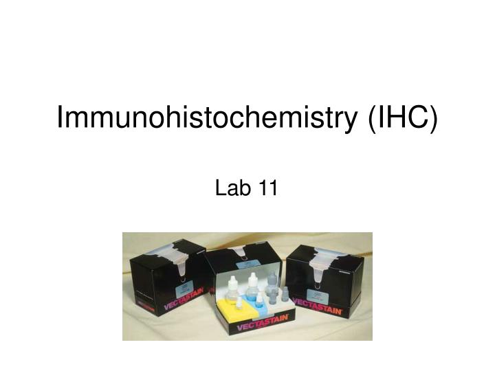immunohistochemistry ihc