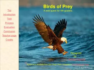 Birds of Prey A web quest for 4th graders Designed