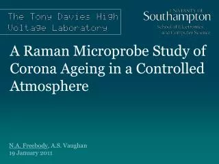 A Raman Microprobe Study of Corona Ageing in a Controlled Atmosphere