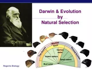Darwin &amp; Evolution by Natural Selection