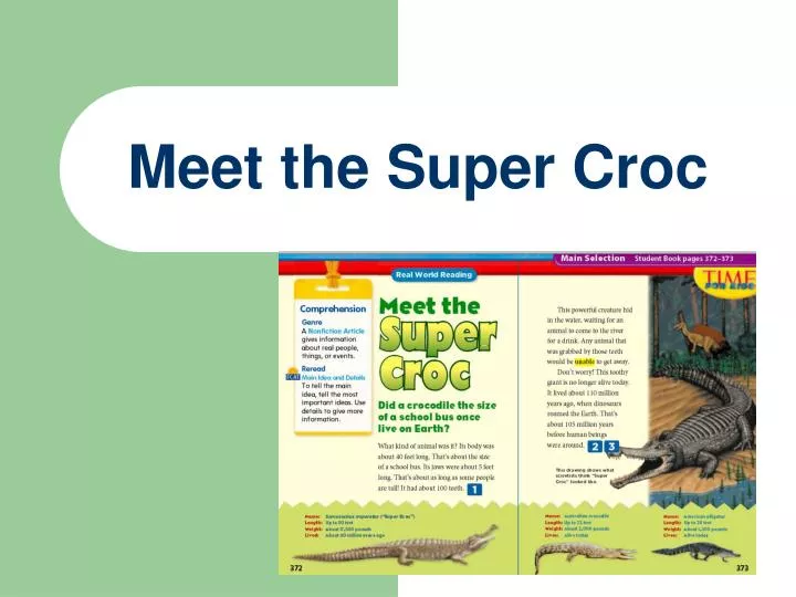 meet the super croc
