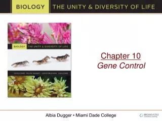 Chapter 10 Gene Control